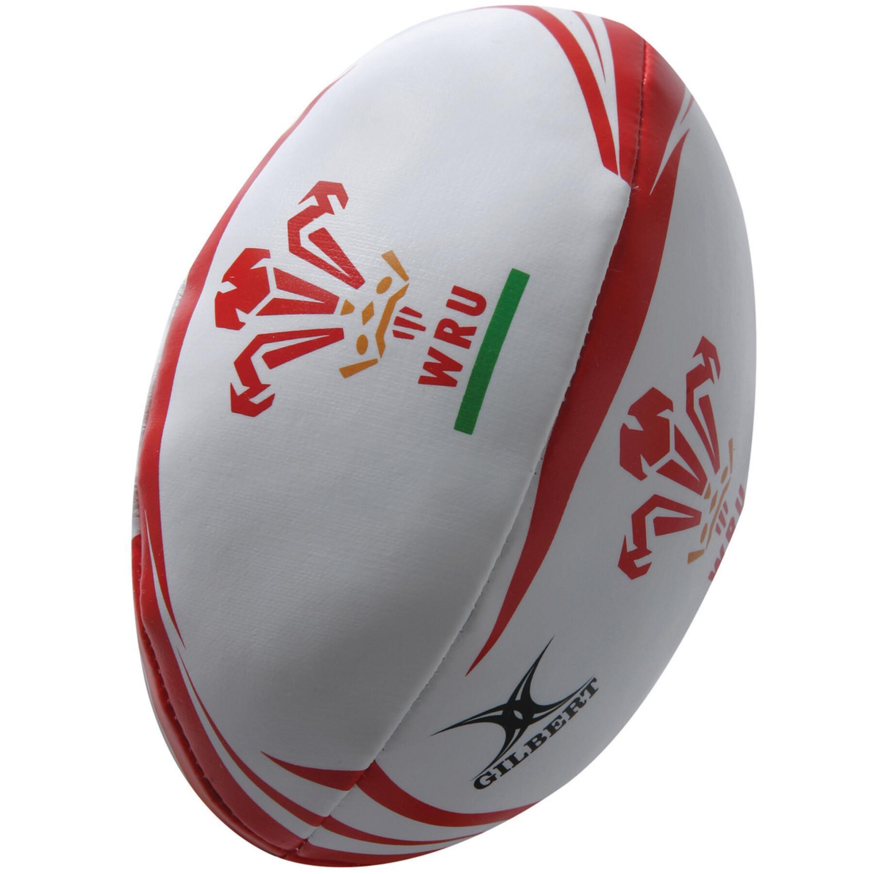 Pack of 25 Balls Wales