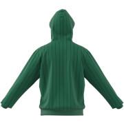 Sweatshirt hooded adidas Pinstripe Fleece