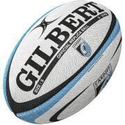 Pack of 25 balloons Cardiff Blues