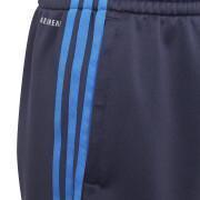 Children's shorts adidas AEROREADY Primegreen 3-Stripes